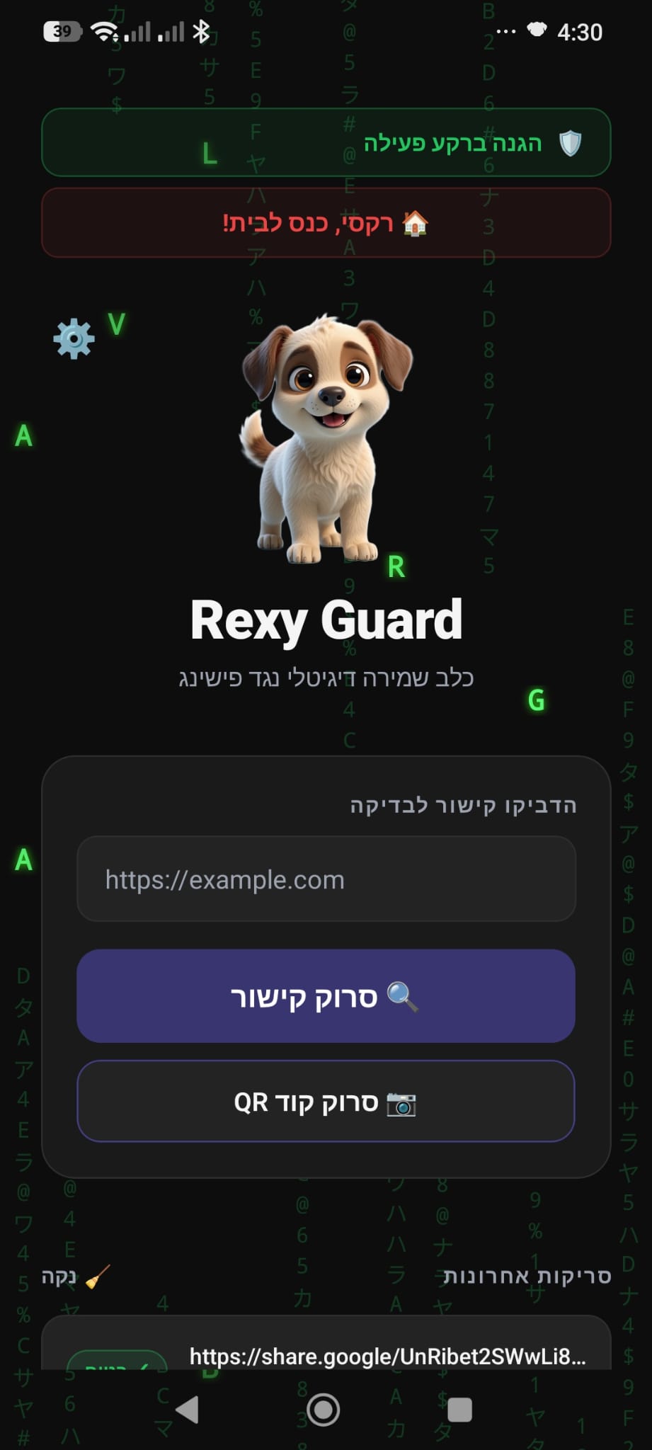 Rexy Guard — מסך בדיקת הקישור